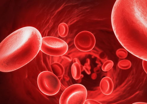 輸液時輸進去的液體都去了哪兒了？